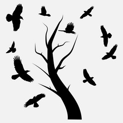 birds in flight Vector Image