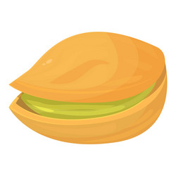 single pistachio nut with opened shell showing vector image
