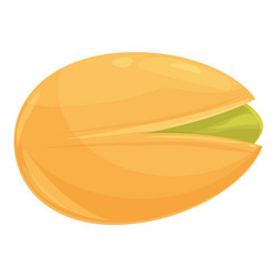 one single pistachio nut with open shell showing vector image