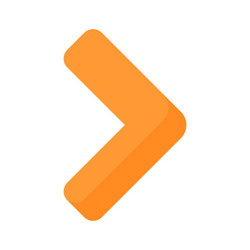 next forward button design vector image