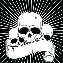 Skulls and Banner Vector Image