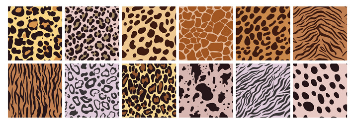 Animal Print Patterns: Leopard, Zebra, & More vector image