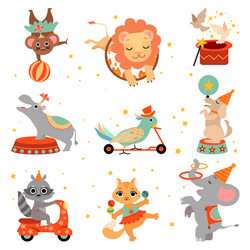 Adorable Circus Animals Show Vector Image