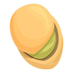 open pistachio showing nut and shell in cartoon vector image