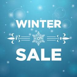 winter sale and in the middle snowflake Vector Image
