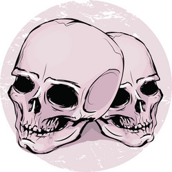 Two Skeletal Heads Vector Image