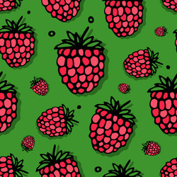 Raspberry seamless pattern for your design vector