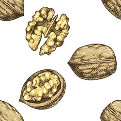 seamless pattern with hand drawn walnut nuts vector image