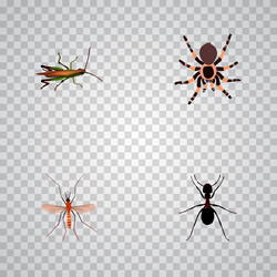 set of insect realistic symbols with grasshopper vector image