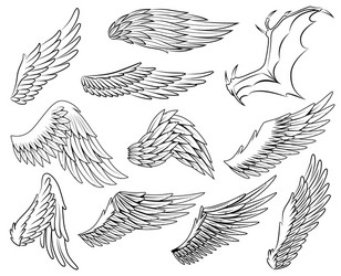 Collection vintage heraldic wings sketch vector