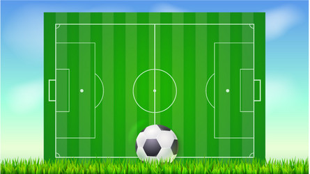 soccer field with grass and ball on blue backdrop vector