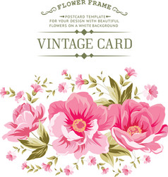 Luxurious color peony pattern Royalty Free Vector Image