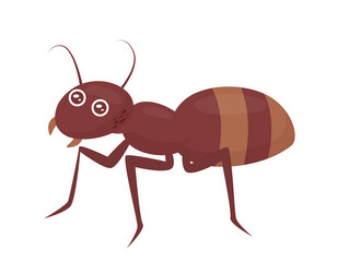 cute wild ant insect vector