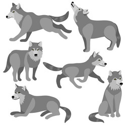 Drawing animals wolves vector