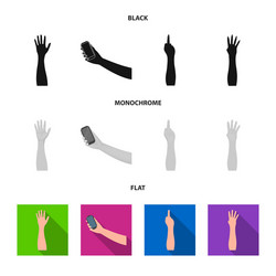 isolated object and animated icon collection vector image