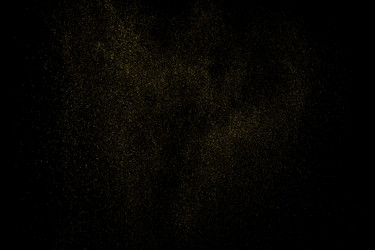 golden stardust Vector Image