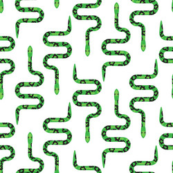 green snake on white seamless pattern Vector Image