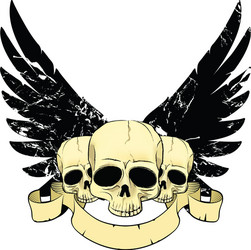 Skull Wings Horror Vector Image