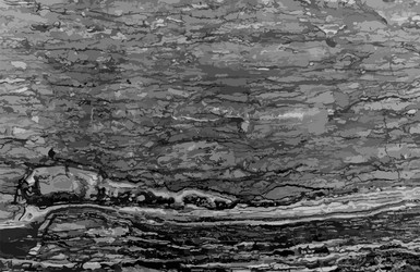 abstract texture of a marble background vector image