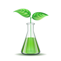 genetically modified sprout inflask biotechnology vector image
