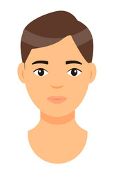 avatar brown-haired young man isolated at white vector