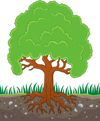 tree with roots theme image 3 vector image
