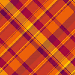 linear tartan texture check rustic plaid pattern vector image