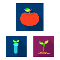 isolated object of and symbol collection vector image