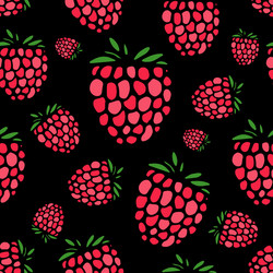 Raspberry seamless pattern for your design vector