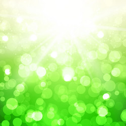 blurred summer background with sun vector image