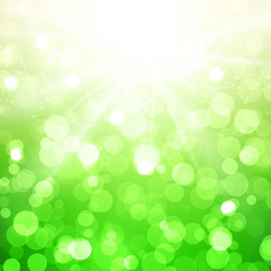 blurred summer background with sun vector