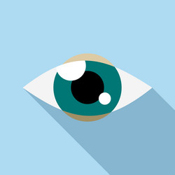 Tracking eye icon flat style vector