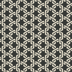 monochrome mesh chain seamless pattern vector image