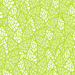 Cactus plants texture seamless pattern background Vector Image