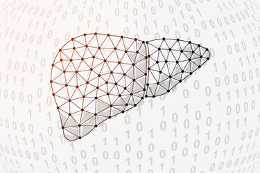 liver 3d low poly symbol with binary code vector image