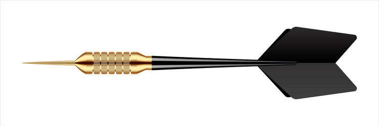 dart arrow with metal tip and shadow vector image