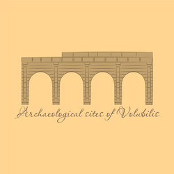 historical landmark of volubilis city in morocco vector