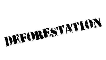 Rubber Plantation Stamp Vector Images 60