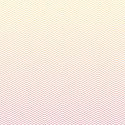 graphic line of pattern vector image