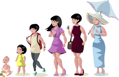 Woman stages of development on white background vector