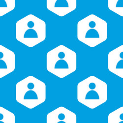 user hexagon pattern vector image