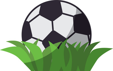 Soccer Ball Sport Icon Vector Image