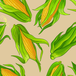 Corn cob grain nature diet nutrition Royalty Free Vector