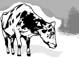 drawing of spotted dairy cow from front view vector