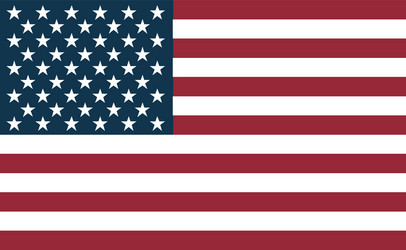 united states flag flat symbol Vector Image