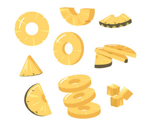 Pineapple Slices - Round & Triangular vector image