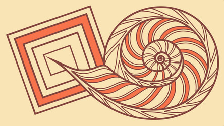 abstract spiral shell geometric pattern design vector image