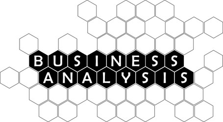 Business analysis vector