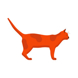 Cat side view icon animal cartoon redhead pet vector