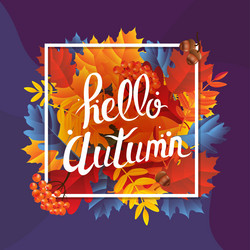 autumn banner with red and yellow leaves vector